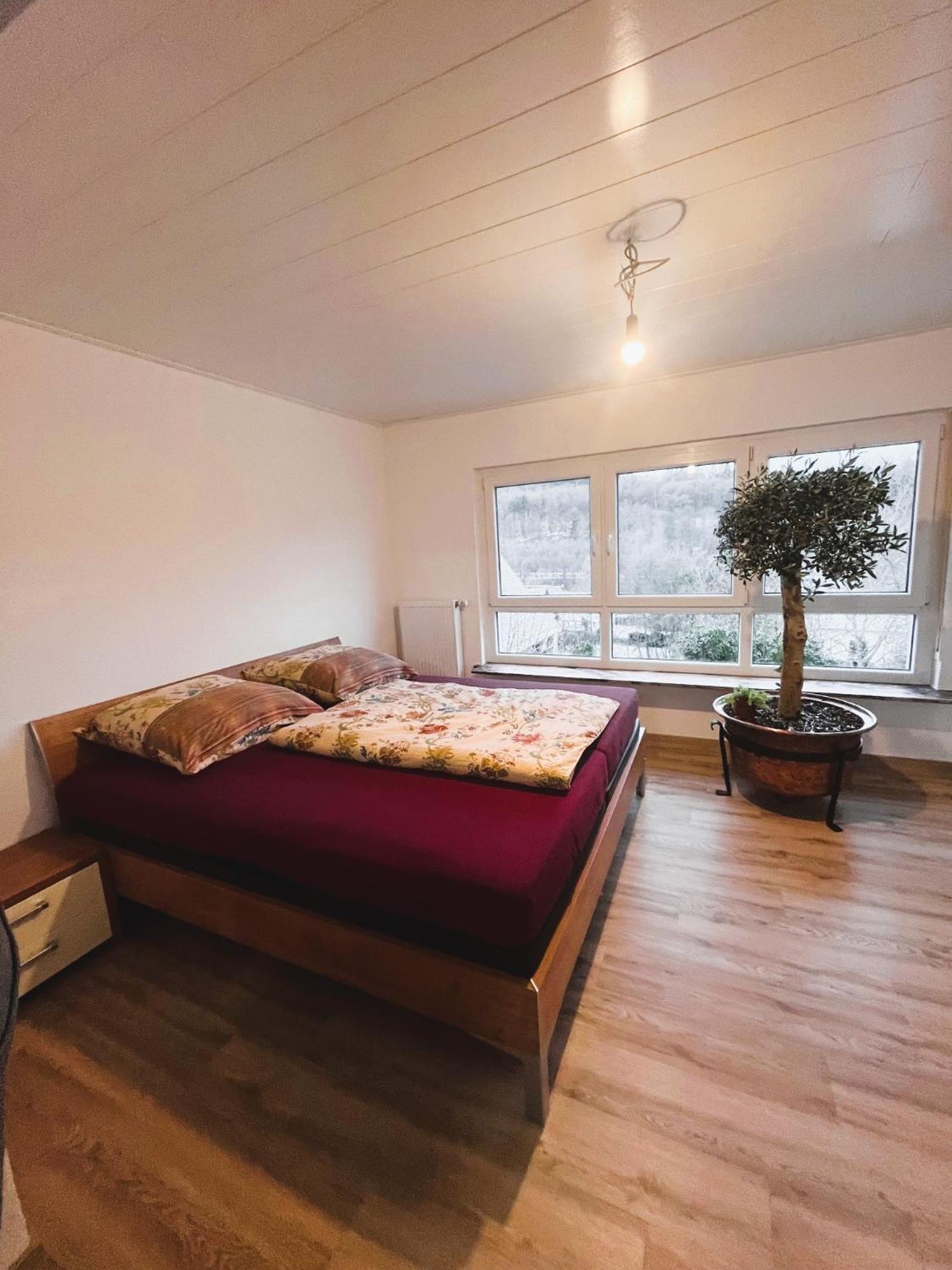 Frisch Renovierte In Ruhiger Lage Apartment